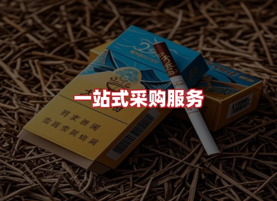 专业团队